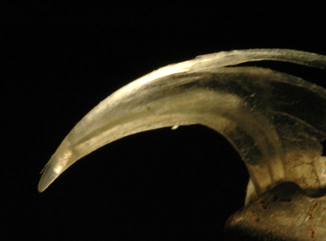 b0057679_8495824.jpg