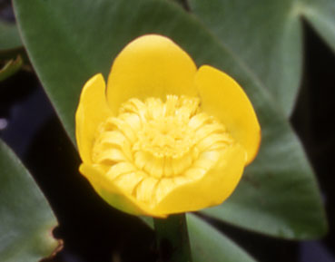 b0057679_8502787.jpg
