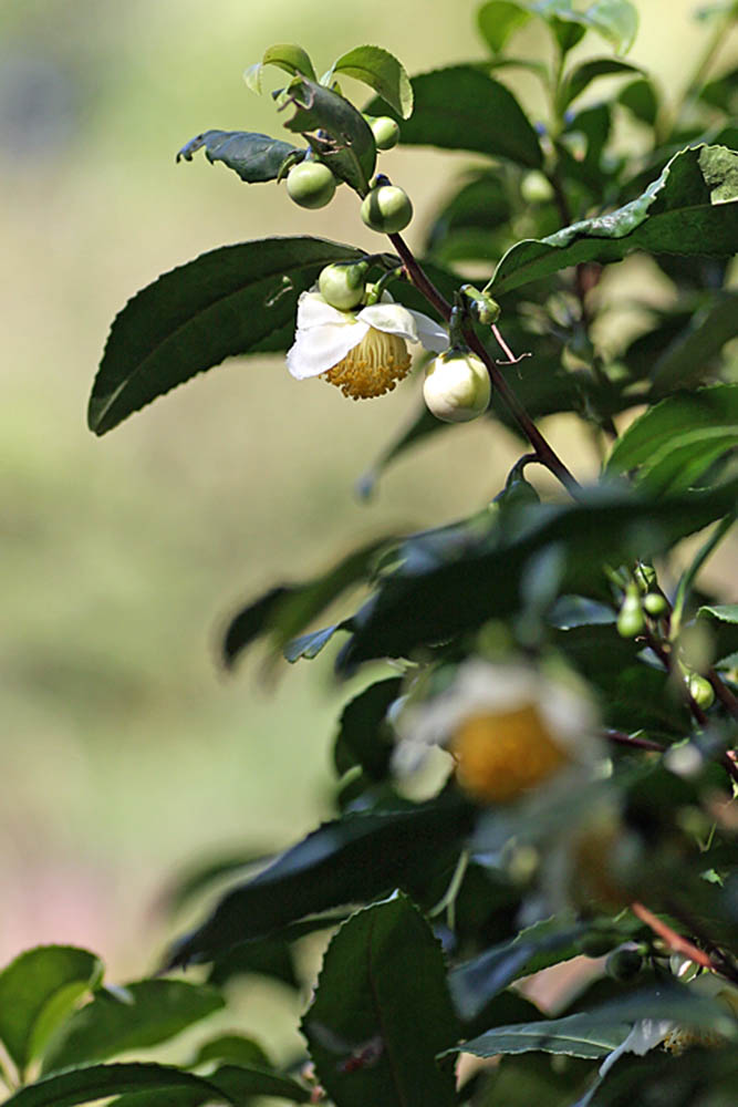 a0083081_162171.jpg