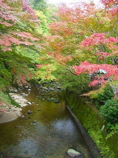 d0120382_0124211.jpg