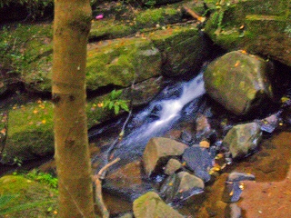 d0120382_0133761.jpg