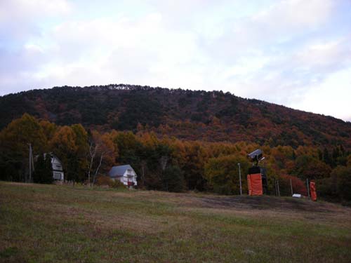 e0066883_0303096.jpg