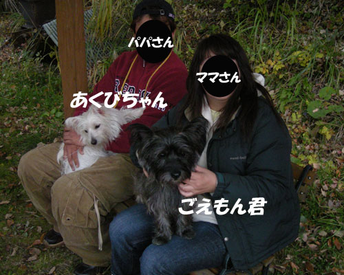 e0066883_0332377.jpg