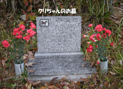 e0066883_0504448.jpg