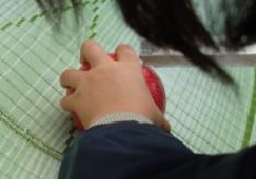 e0096485_11514241.jpg