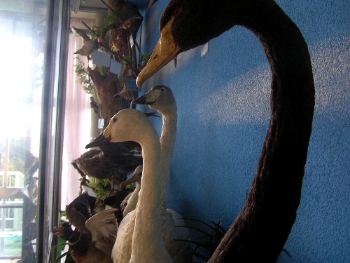 a0067991_11244781.jpg