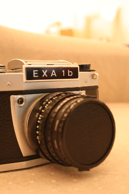 d0100192_22574682.gif
