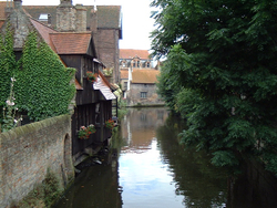 e0030497_1164643.jpg