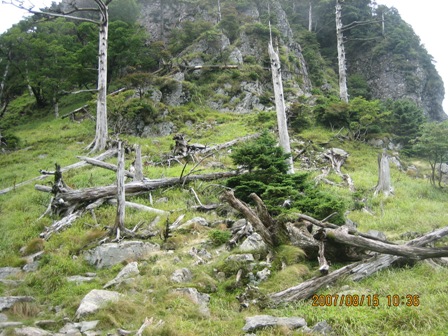 c0147398_15385122.jpg