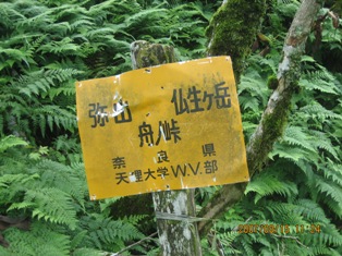 c0147398_1540379.jpg