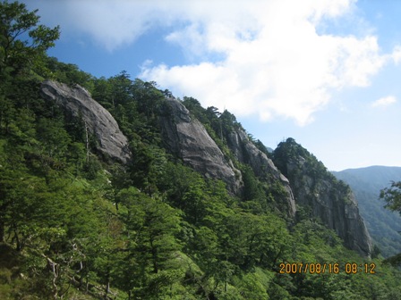 c0147398_16361527.jpg