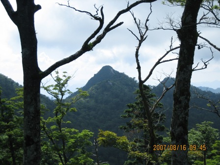 c0147398_16423980.jpg