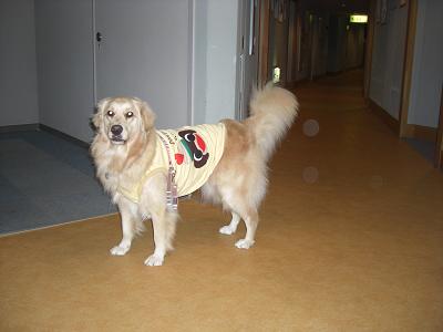 e0117503_2154118.jpg