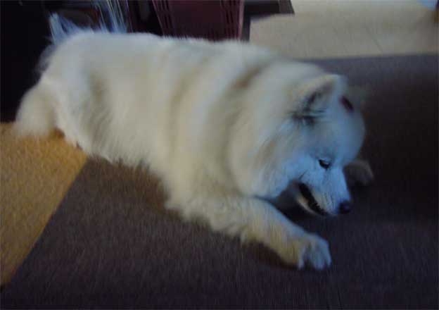 e0018604_1352195.jpg