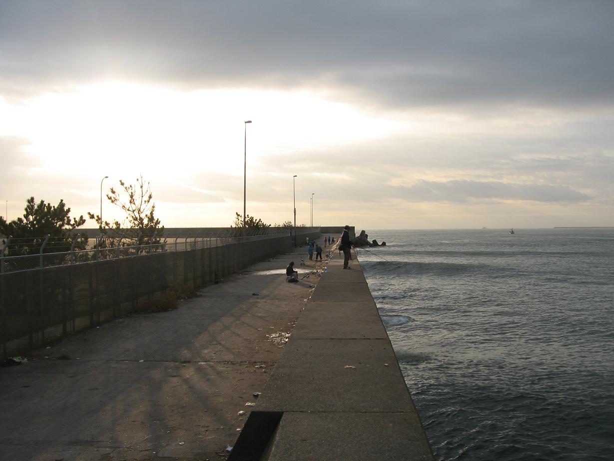d0078105_1662398.jpg