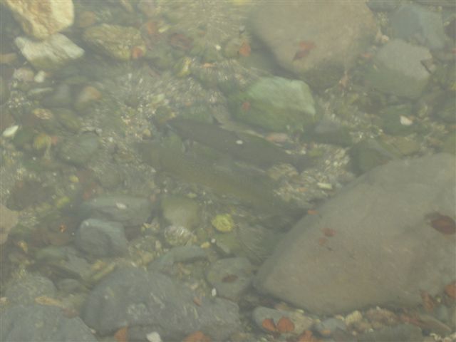 d0126708_7175697.jpg