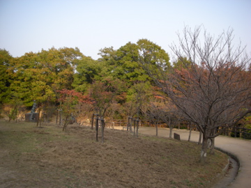 c0145209_18191613.jpg