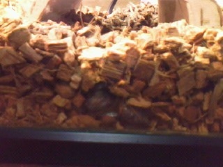 c0128710_15554844.jpg