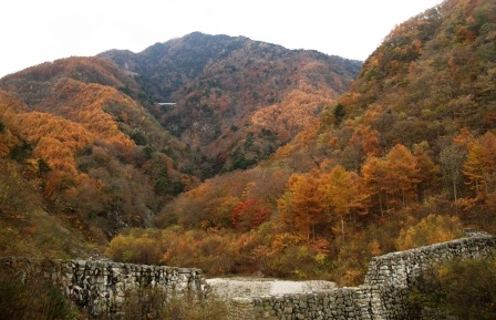 e0078510_133160.jpg