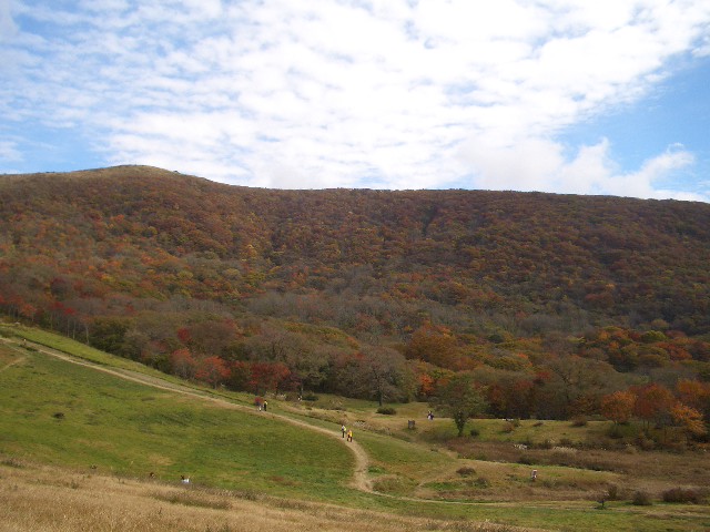 c0036617_18101394.jpg