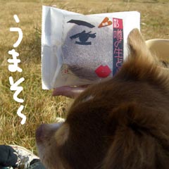 c0036617_18115356.jpg