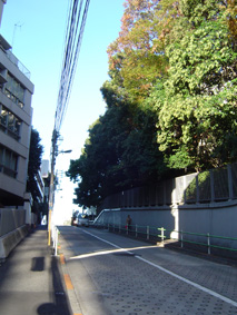 c0135618_14424675.jpg