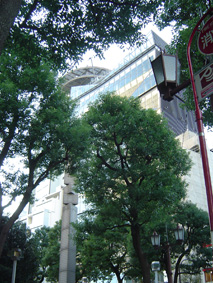 c0135618_14435665.jpg