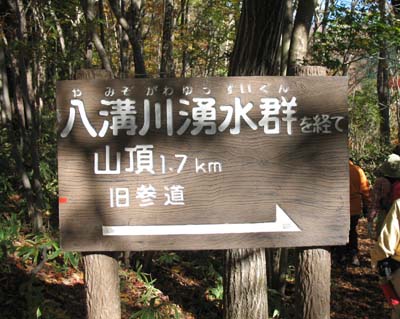 d0080118_22402051.jpg