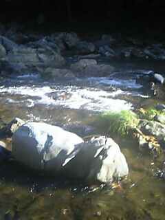c0089719_17463435.jpg