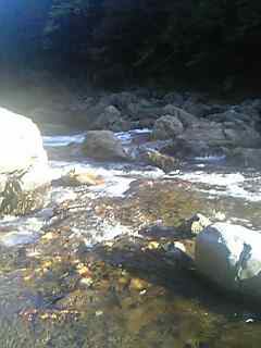 c0089719_1758303.jpg
