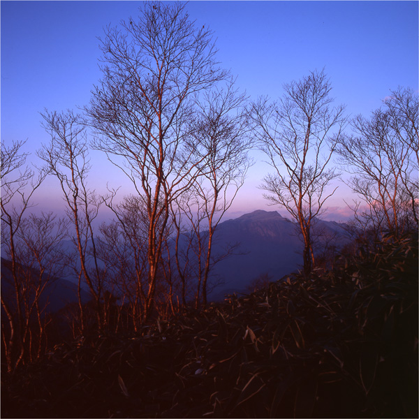 c0143722_21502528.jpg