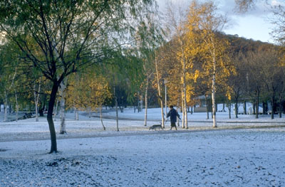 a0046429_22103899.jpg