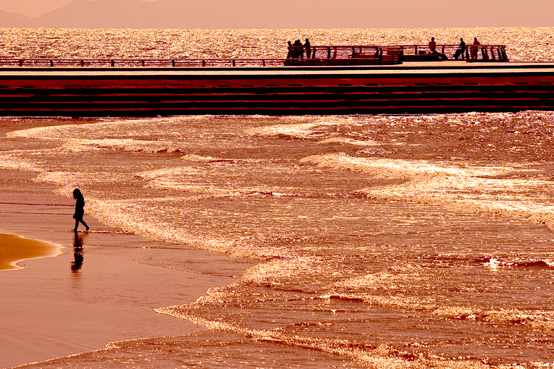 d0004832_10331594.jpg