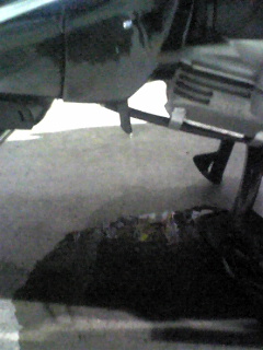 c0108934_3134883.jpg