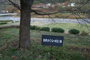 e0009049_2355228.jpg