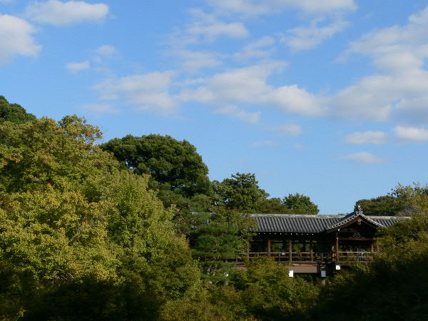 e0017051_2350428.jpg
