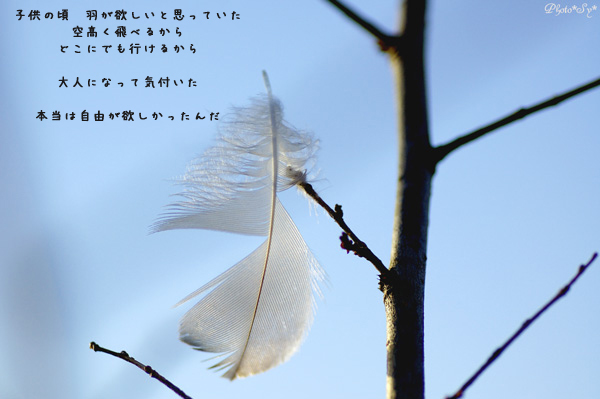 c0144353_12111118.jpg