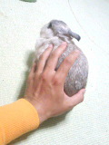 f0104057_23283075.jpg