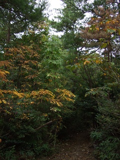 b0095061_8254428.jpg