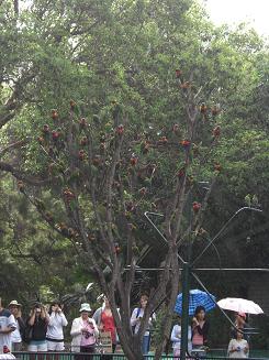 f0142862_16203084.jpg