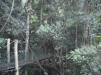 f0142862_1624227.jpg