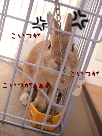 c0141864_14452661.jpg