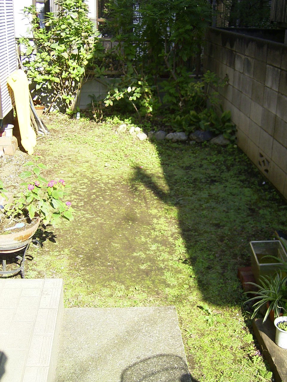 d0117565_2218149.jpg