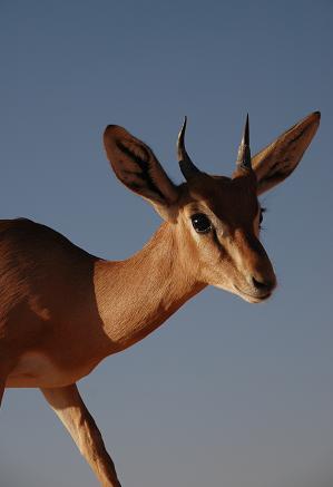 e0066474_1805050.jpg