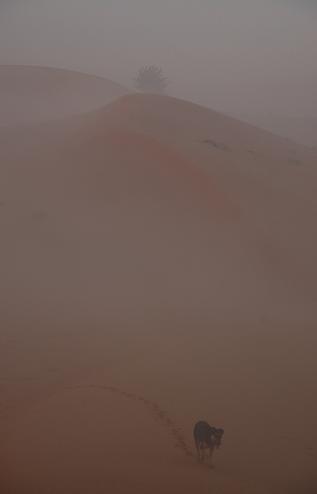 e0066474_19192880.jpg