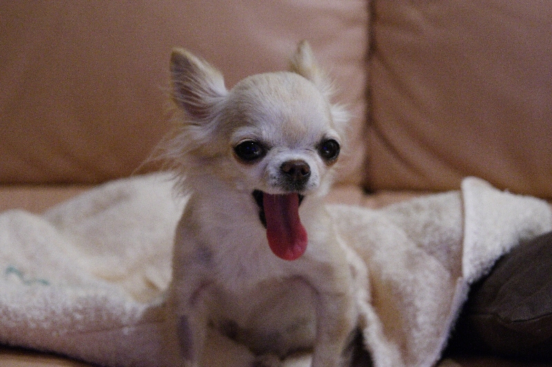 a0016775_23103658.jpg