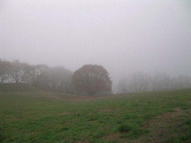 a0079880_1322530.jpg