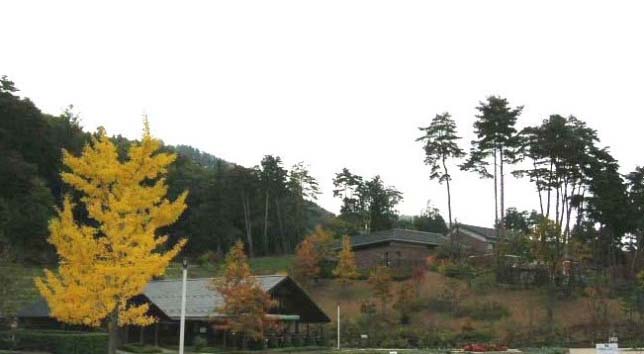 a0079880_1521370.jpg
