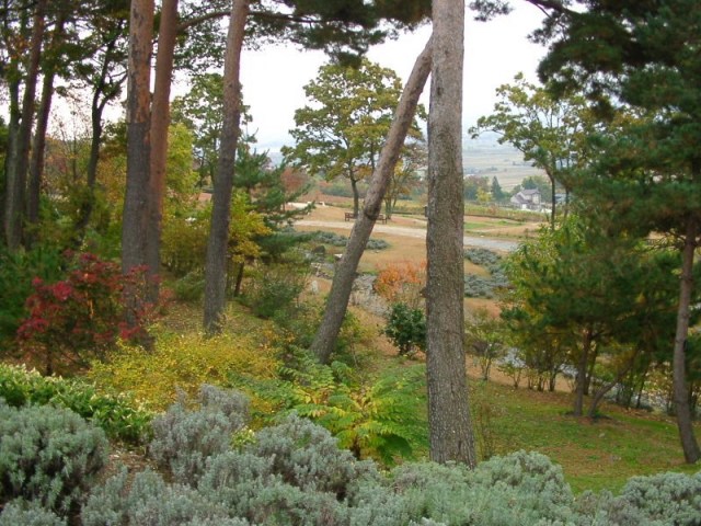 a0079880_1523530.jpg