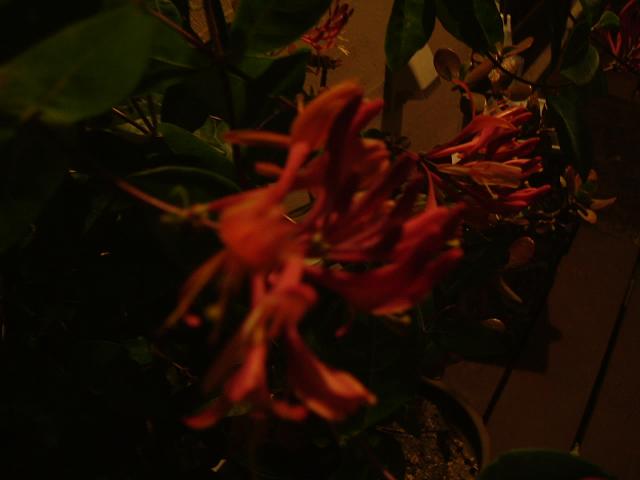 a0104980_20335925.jpg